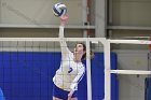 Volleyball vs Babson  Wheaton Women's Volleyball vs Babson College. - Photo by Keith Nordstrom : Wheaton, Volleyball, VB